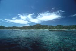 A view of Anthony's Key Resort (AKR) from the water. RIMS is housed at the resort with AKR supporting our beginning research program. 