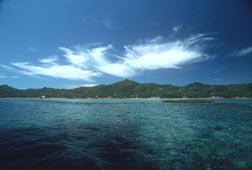 A view of Anthony's Key Resort (AKR) from the water. RIMS is housed at the resort with AKR supporting our beginning research program. 