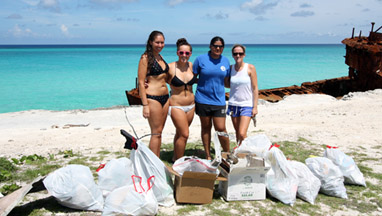BIM11_Ribic_beach_cleanup