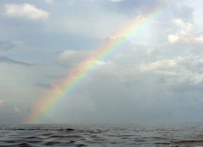 BIM11_T40_rainbow