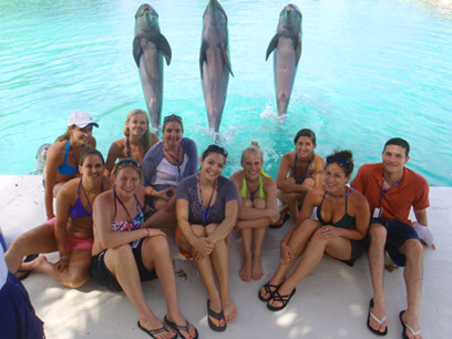 DE12_Group dolphin photo_EthologicalStudies