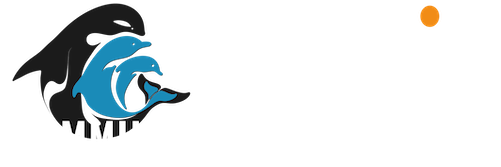 Dolphin Communication Project