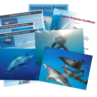 Collage_AllProtector_Transparent_sm