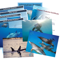 Collage_AllProtector_Transparent_2025