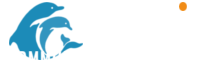Dolphin Communication Project